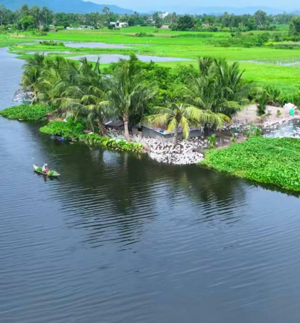 SIÊU PHẨM 2 “ĐẢO” ĐẤT MẶT TIỀN VÕ VĂN BÍCH – SÁT VÀNH ĐAI 3 – CHỈ 6TR/M²! 15978837