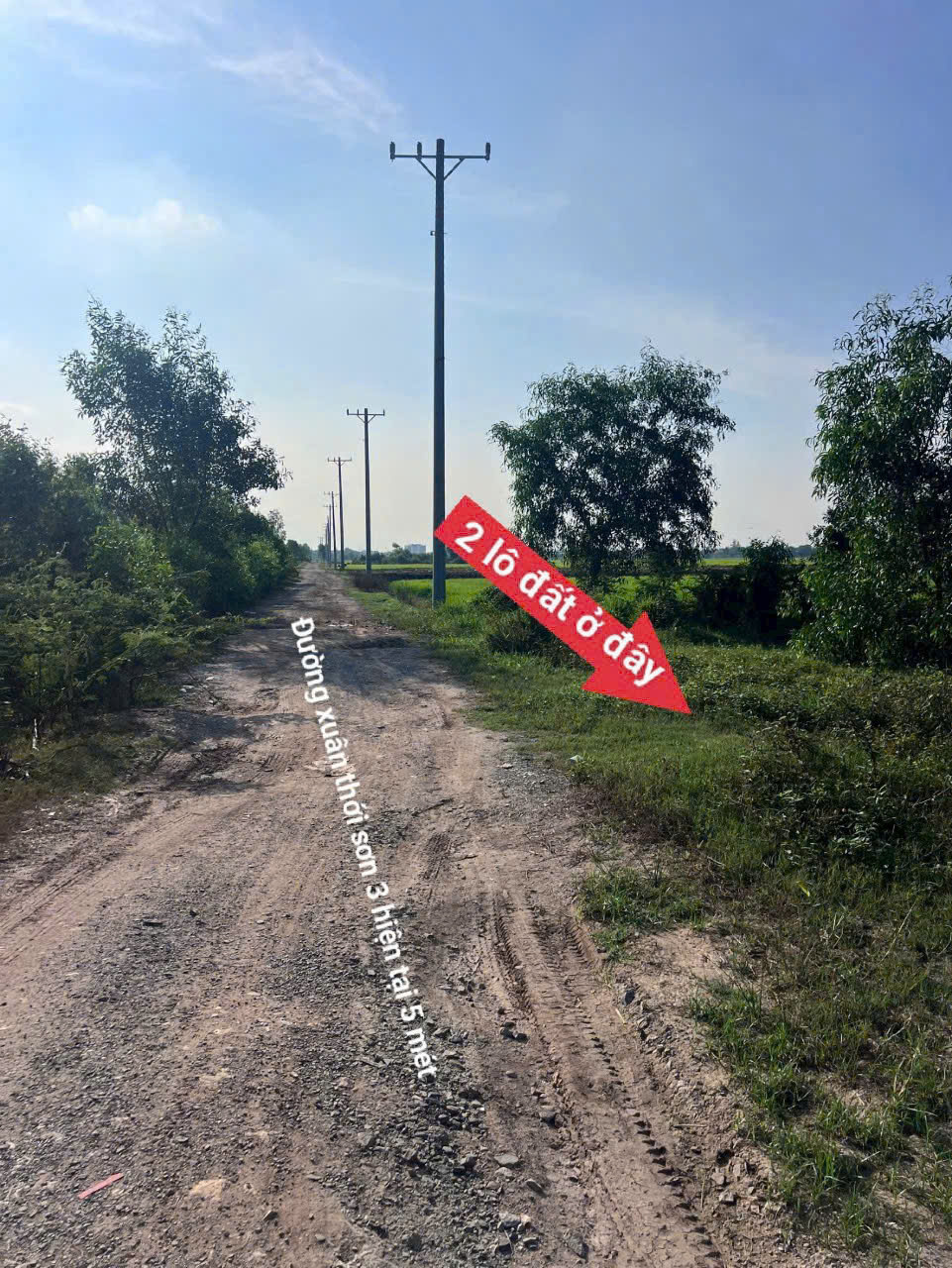 RA GẤP 2 LÔ LIỀN KỀ MẶT TIỀN XUÂN THỚI SƠN 03 – SÁT VÀNH ĐAI 3 – 1.006M²/LÔ 15978841