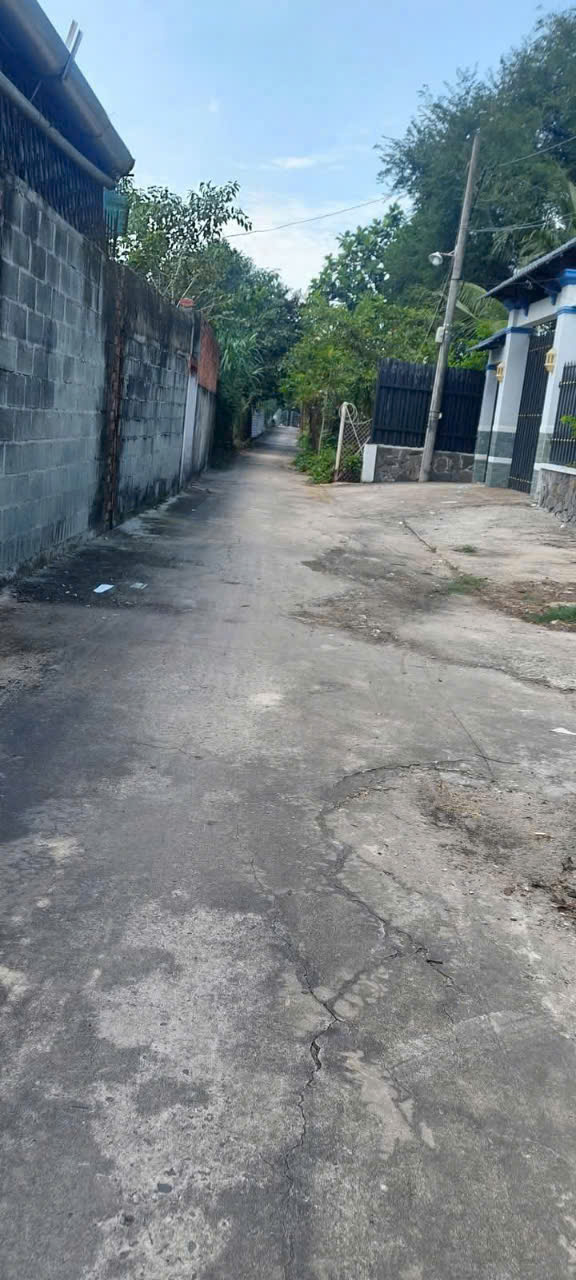 ĐẤT THỔ CƯ (8x32) TÂN HIỆP – LÔ ĐẸP VUÔNG VỨC – GIÁ MỀM HIẾM CÓ! 15978852