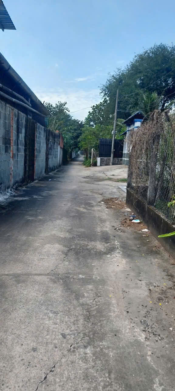 ĐẤT THỔ CƯ (8x32) TÂN HIỆP – LÔ ĐẸP VUÔNG VỨC – GIÁ MỀM HIẾM CÓ! 15978852