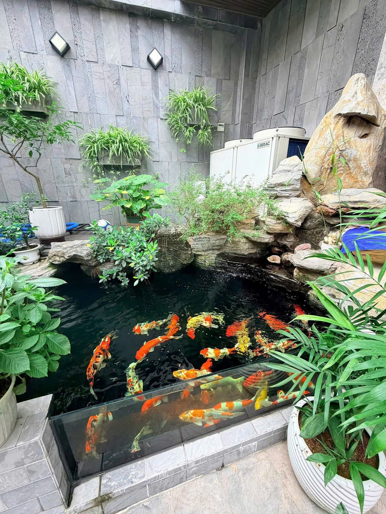 22,9 TỶ  BIỆT THỰ THANG MÁY – BỂ BƠI  273M² (SD ~320M²)  AN TRỰC – HỒNG BÀNG 15978892