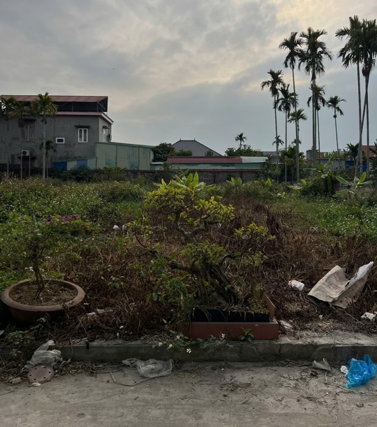 BÁN ĐẤT PHÂN LÔ PHỤC LỄ – THỦY NGUYÊN – DIỆN TÍCH 60,8M² – Ô TÔ TỚI ĐẤT – GIÁ 1,5 TỶ 15979071