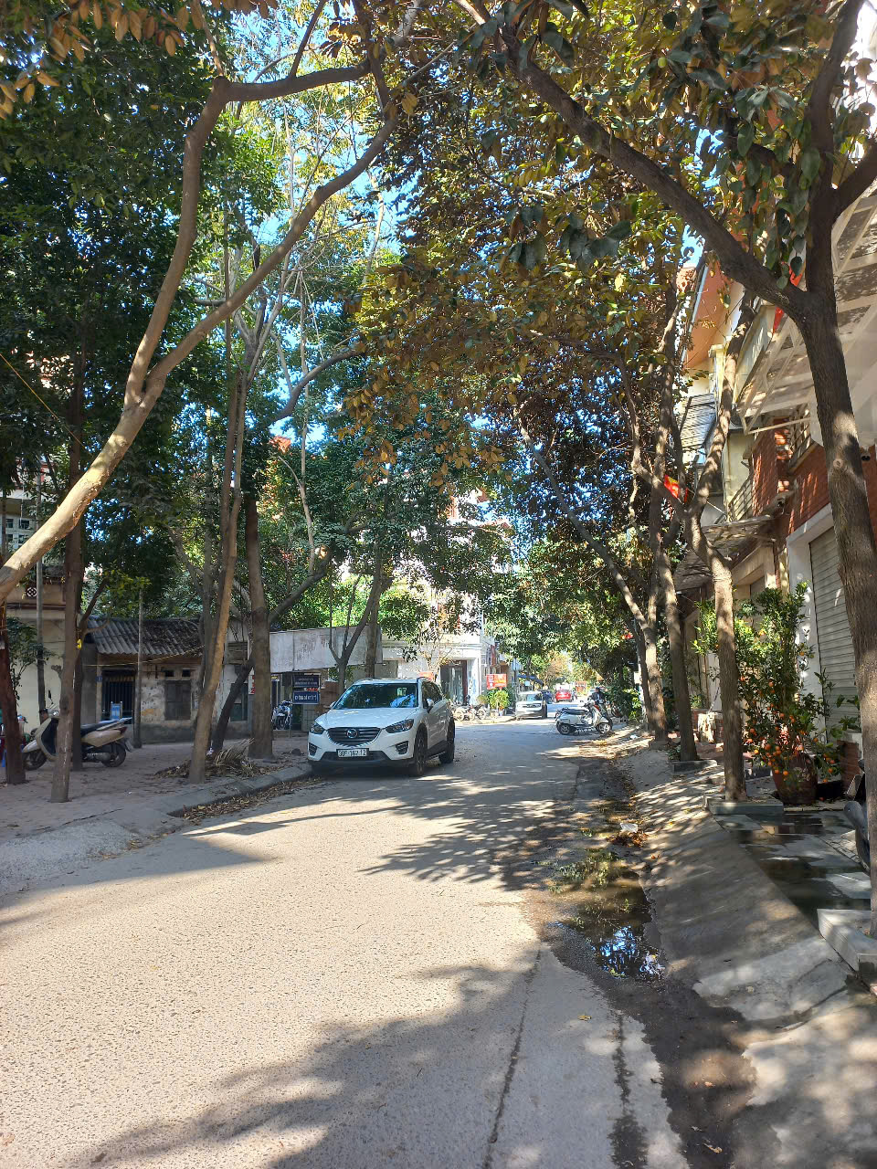 BÁN NHÀ MỖ LAO, HÀ ĐÔNG, DT79M2 MT4.5M, VỈA HÈ, OTO TRÁNH KINH DOANH, VĂN PHÒNG, NHỈNH 29 TỶ 15979128