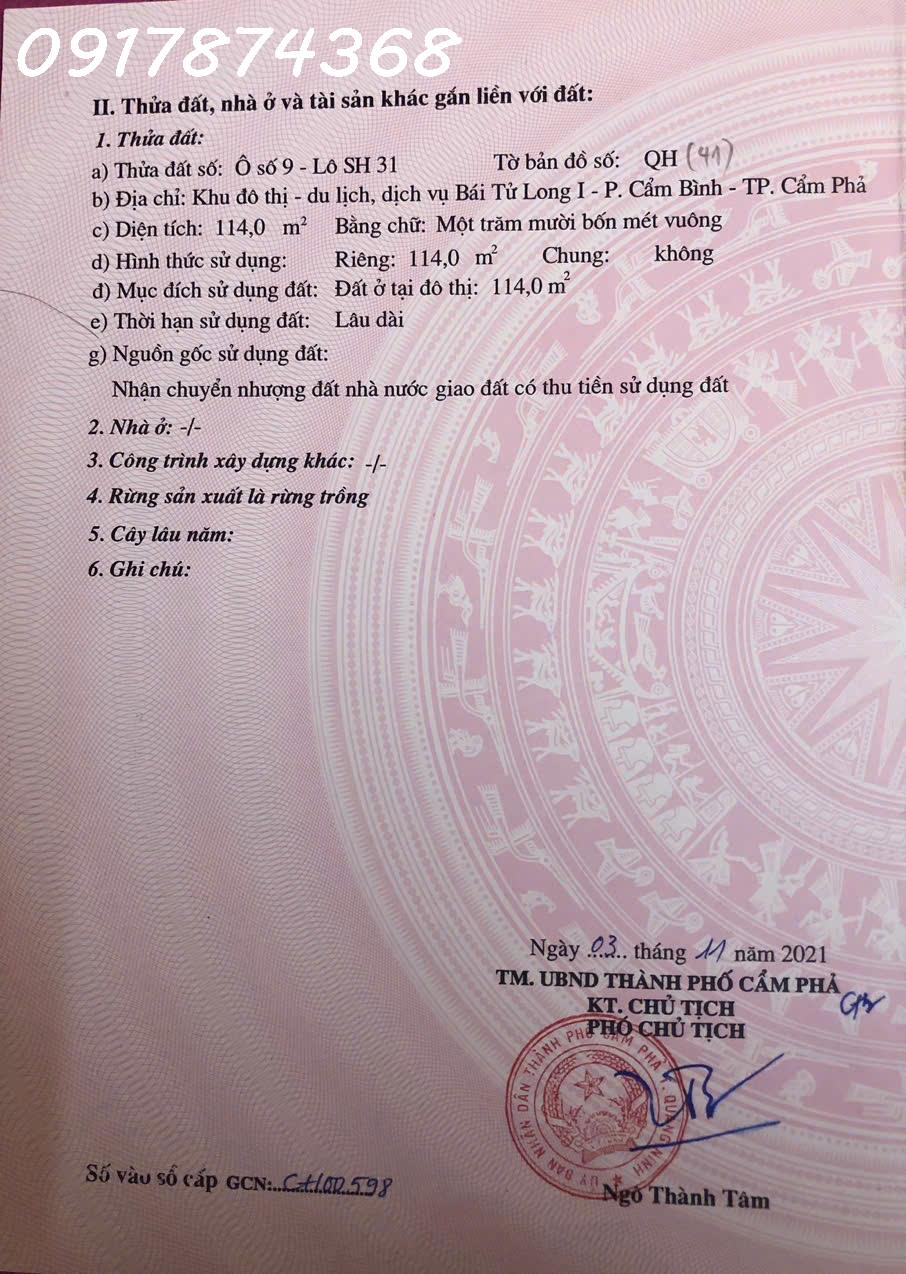 Bán đất shophouse tại Đường Bái Tử Long, Phường Cẩm Phả, Quảng Ninh, DT 114m2, giá 3,8 tỷ 15979129