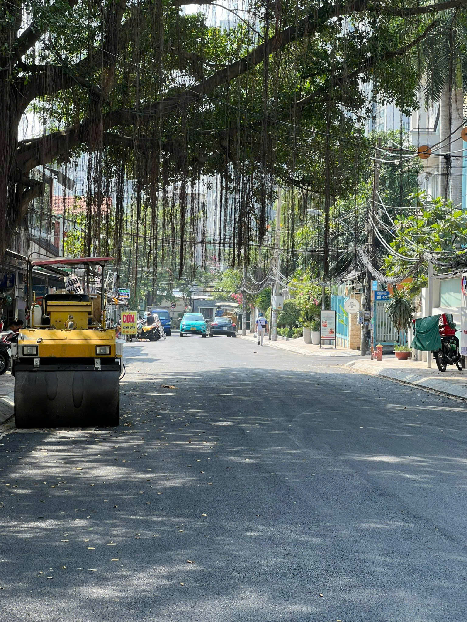 Bán đất góc 2 mặt tiền, Thái Ly, Thảo Điền, Thủ Đức(Q2 cũ), 187m2, SHR, 51.9 tỷ 15979183