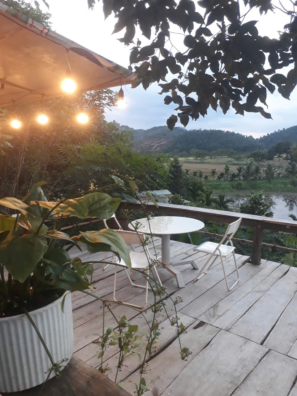 BÁN SIÊU PHẨM ĐẤT ĐẸP - Phù Hợp Cho Mọi Gia Đình 15979203