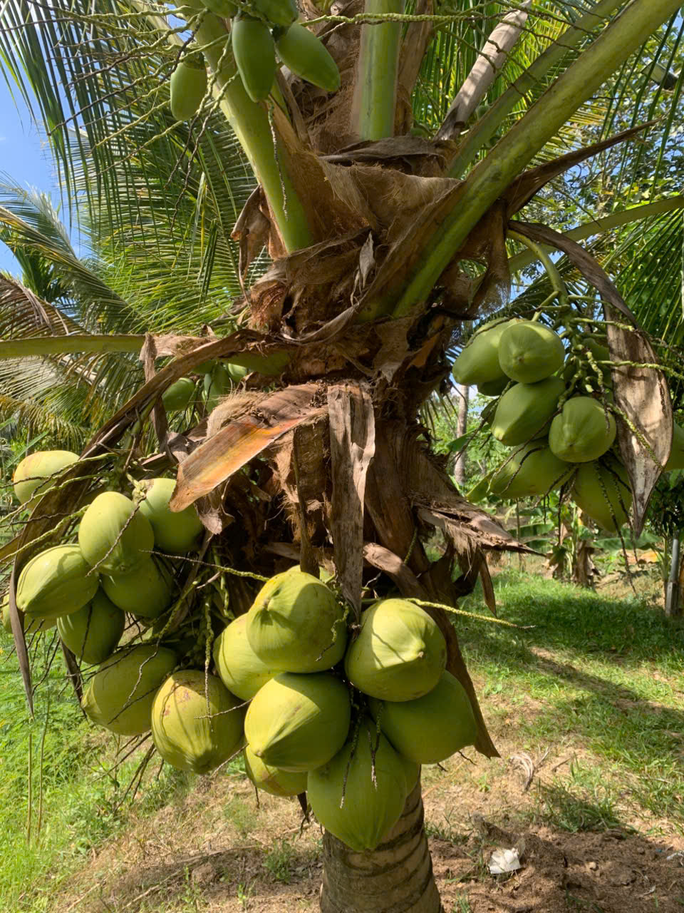 BÁN SIÊU PHẨM ĐẤT ĐẸP - Phù Hợp Cho Mọi Gia Đình 15979203