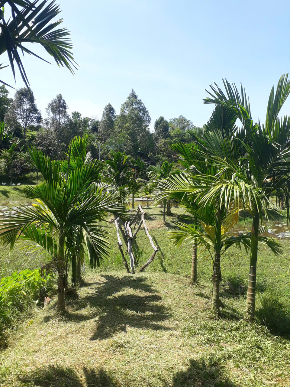 BÁN SIÊU PHẨM ĐẤT ĐẸP - Phù Hợp Cho Mọi Gia Đình 15979203