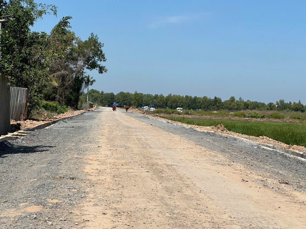 BÁN GẤP 55.000M² ĐẤT ĐẸP – PHƯỚC VĨNH AN – CỦ CHI – ĐÃ SAN LẤP – CHỈ 195 TỶ TL 15979207