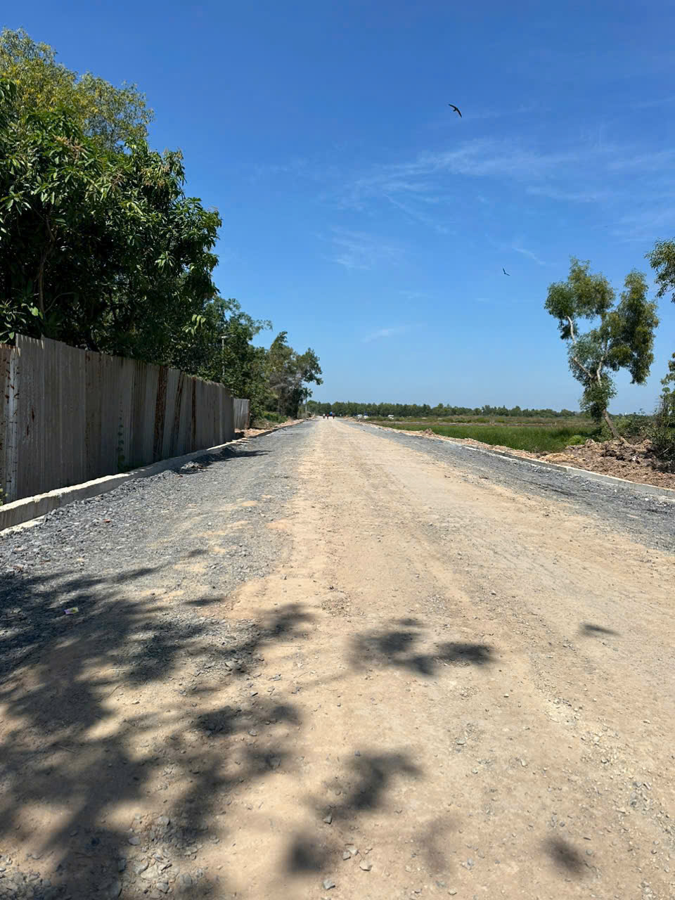 BÁN GẤP 55.000M² ĐẤT ĐẸP – PHƯỚC VĨNH AN – CỦ CHI – ĐÃ SAN LẤP – CHỈ 195 TỶ TL 15979207