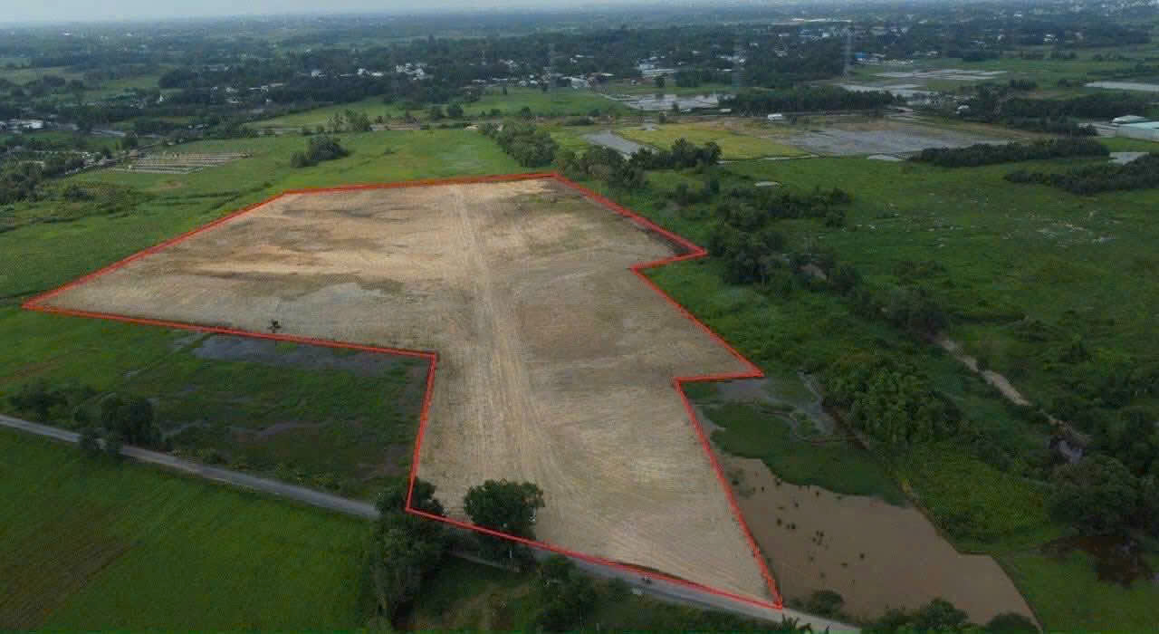 BÁN GẤP 55.000M² ĐẤT ĐẸP – PHƯỚC VĨNH AN – CỦ CHI – ĐÃ SAN LẤP – CHỈ 195 TỶ TL 15979207