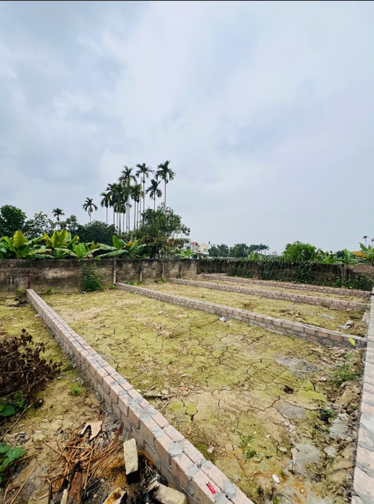 BÁN ĐẤT THIÊN HƯƠNG – THỦY NGUYÊN – DIỆN TÍCH 50M² – GIÁ 1,28 TỶ 15979284