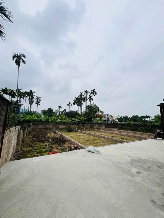 BÁN ĐẤT THIÊN HƯƠNG – THỦY NGUYÊN – DIỆN TÍCH 50M² – GIÁ 1,28 TỶ 15979284