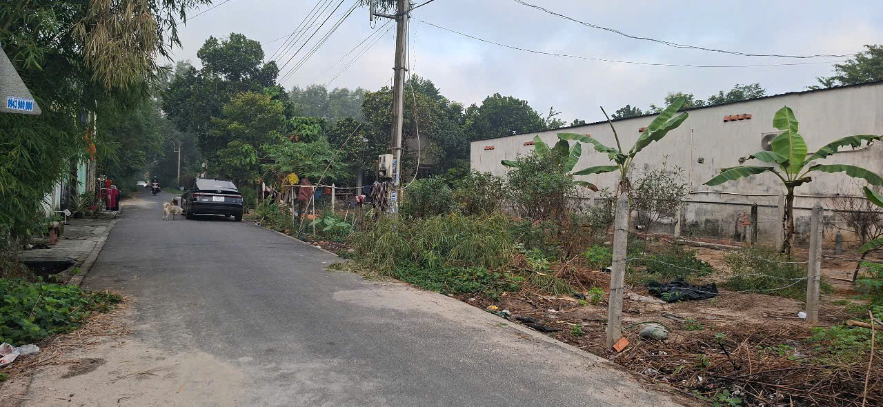 CHÍNH CHỦ BÁN ĐẤT PHƯỜNG PHÚ AN DIỆN TÍCH 179M2  – TP BẾN CÁT-  TỈNH BÌNH DƯƠNG 15979297