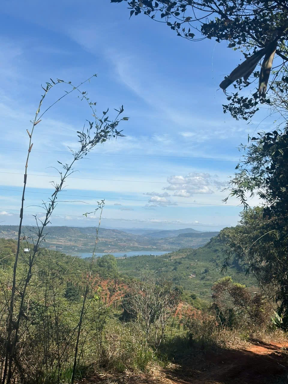 Bán lô đất tại xã Tân Thượng, huyện Di Linh, tỉnh Lâm Đồng 15979372