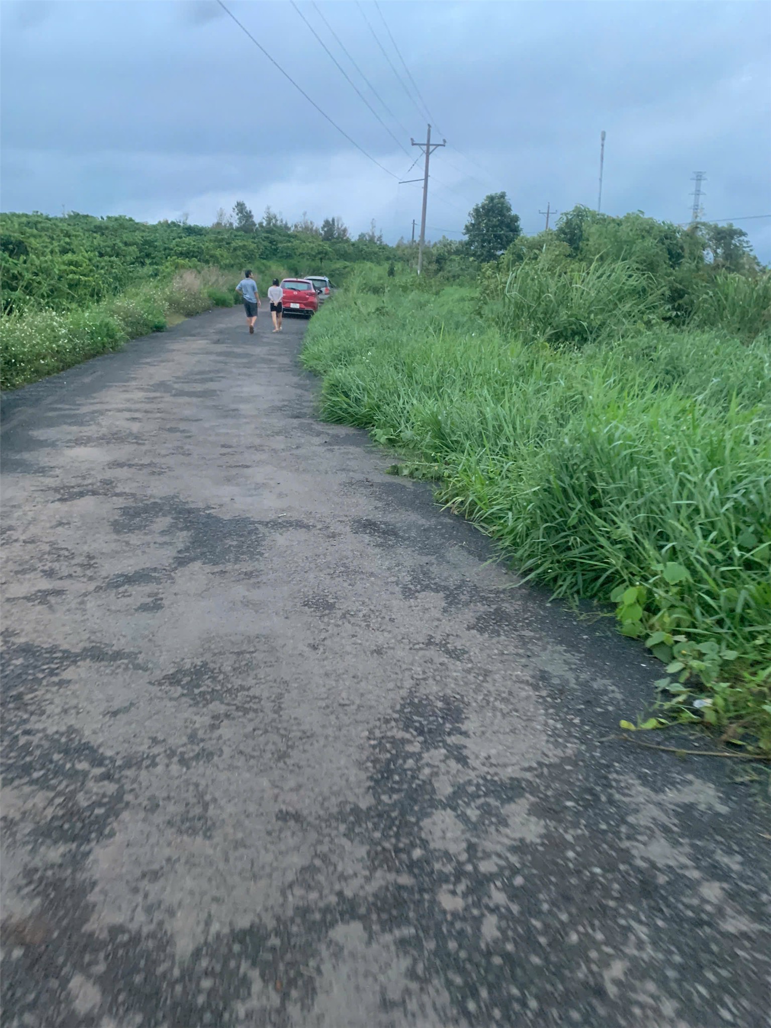 Bán lô đất tại xã Tân Thượng, huyện Di Linh, tỉnh Lâm Đồng 15979372