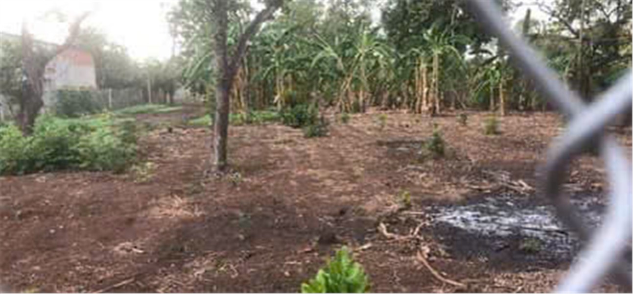 ĐẤT ĐẸP – GIÁ TỐT  – CHÍNH CHỦ CẦN BÁN GẤP tại xã Bàu Cạn, Huyện Long Thành, Đồng Nai. 15979379