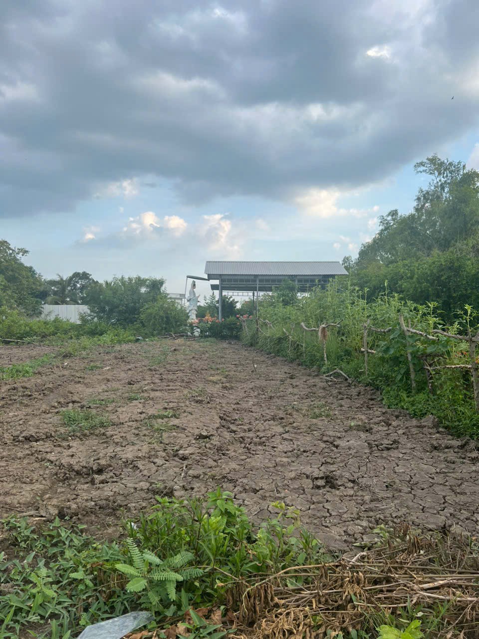 HOT HOT – CHÍNH CHỦ CẦN BÁN LÔ ĐẤT ĐẸP Tại Đường ĐT. 830, Xã Tân Tập, Huyện Cần Giuộc, Long An. 15979385