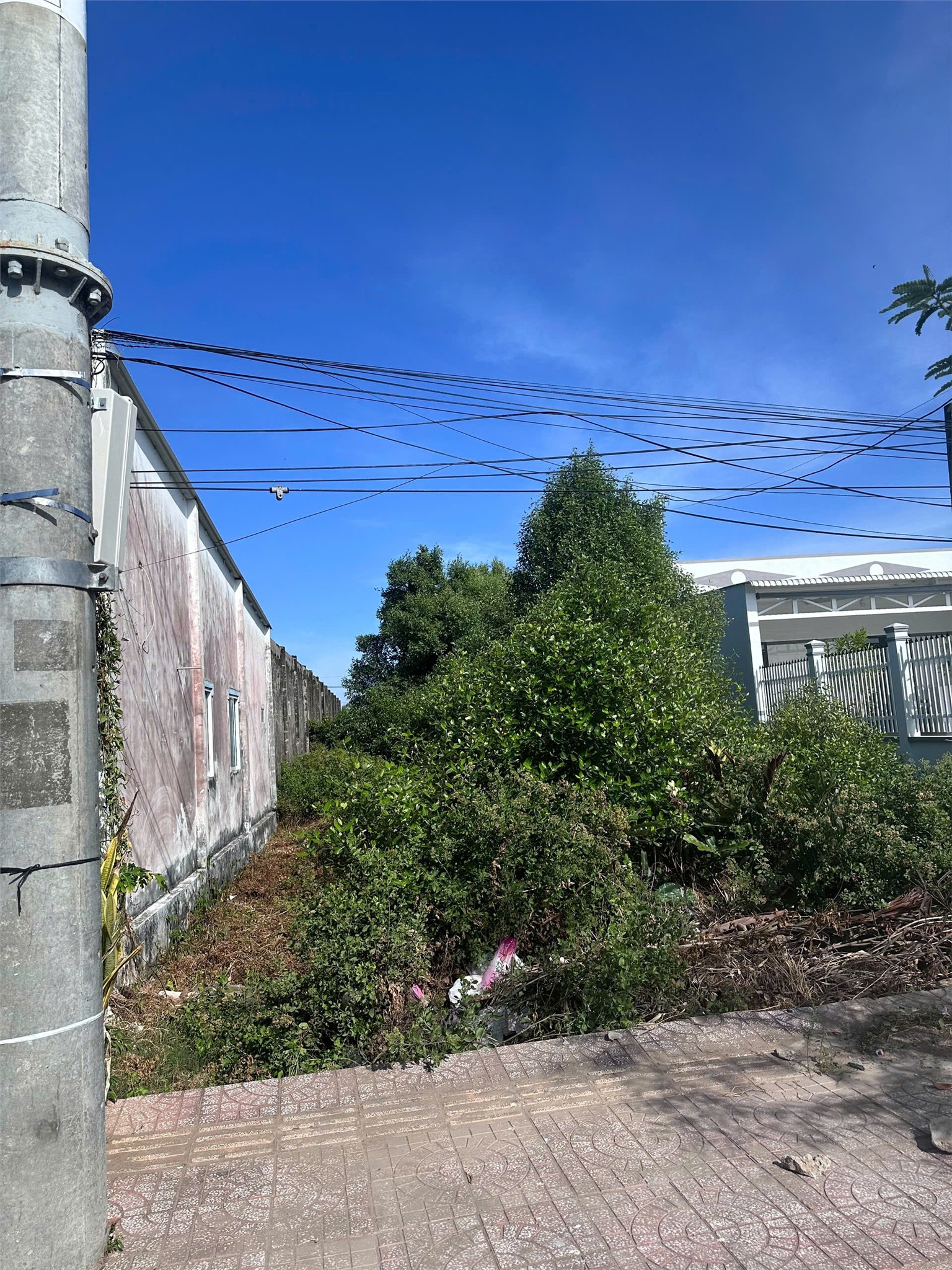 ĐẤT ĐẸP – GIÁ TỐT  – CHÍNH CHỦ CẦN BÁN Tại Đường Ngô Quyền, Xã Hiệp Thành, tp Bạc Liêu, Bạc Liêu 15979387