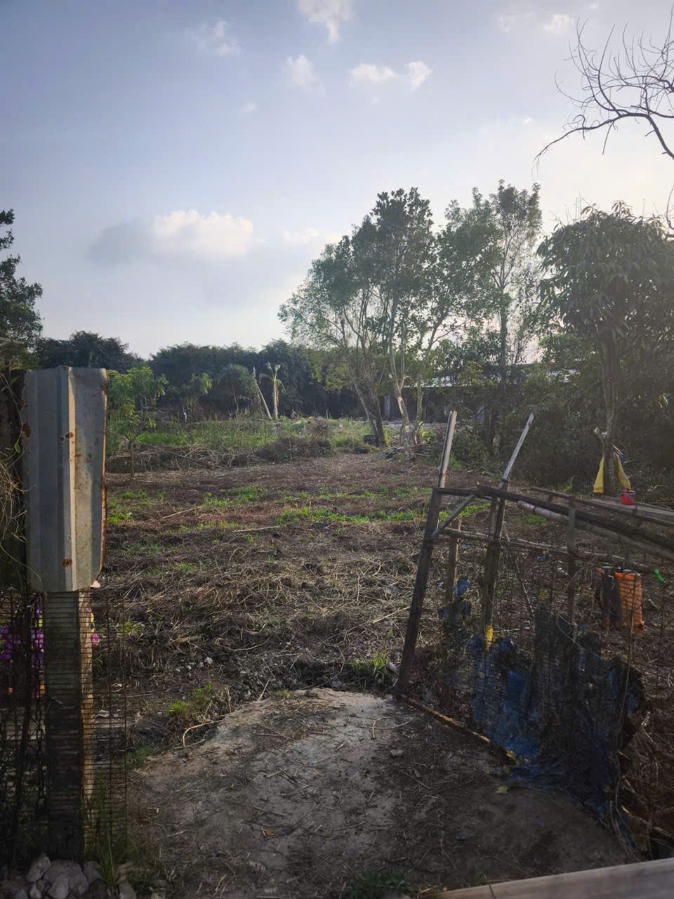 ĐẤT ĐẸP – GIÁ TỐT  – CHÍNH CHỦ CẦN BÁN TẠi Rạch Chuối, Khu Vực Mỹ Phụng, phường An Bình, TP CẦN THƠ 15979388