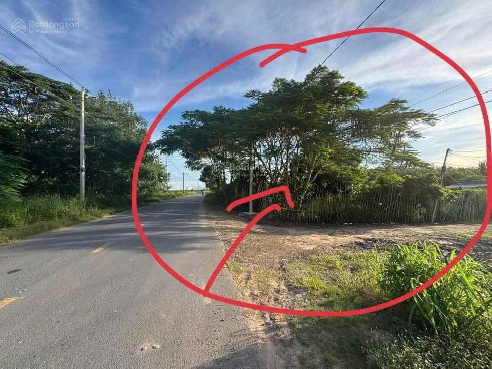Bán ĐẤT CHÍNH CHỦ Đường Lộ 785C Xã Tân Hà, Huyện Tân Châu, Tây Ninh 15979401