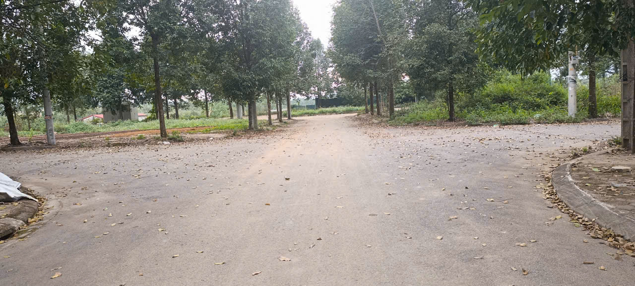 📍 BÁN ĐẤT TÁI ĐỊNH CƯ GẦN Đại học Quốc gia Hà Nội – TRUNG TÂM Hòa Lạc 15979442