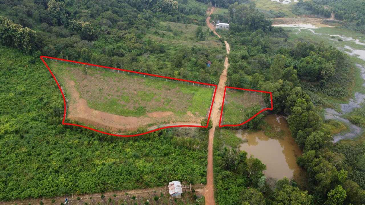 Đất Vườn Nghỉ Dưỡng View Hồ Trị An Xã Thanh Sơn Định Quán Đồng Nai 15979449