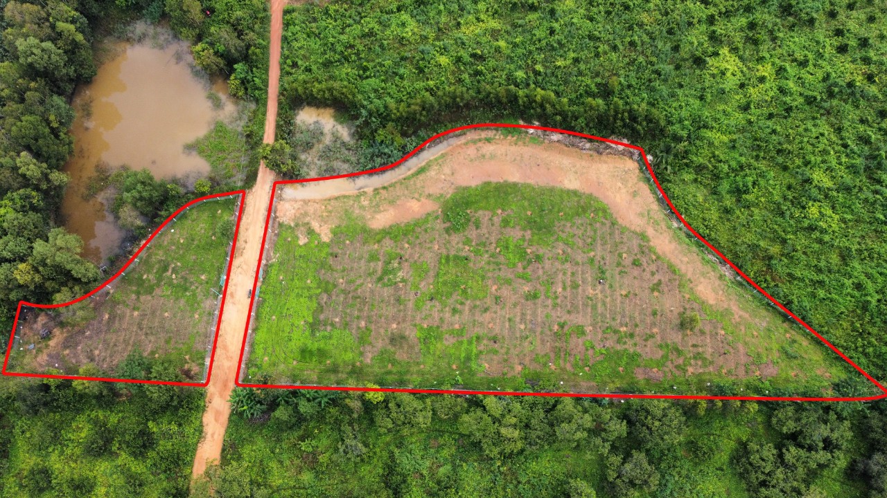 Đất Vườn Nghỉ Dưỡng View Hồ Trị An Xã Thanh Sơn Định Quán Đồng Nai 15979449