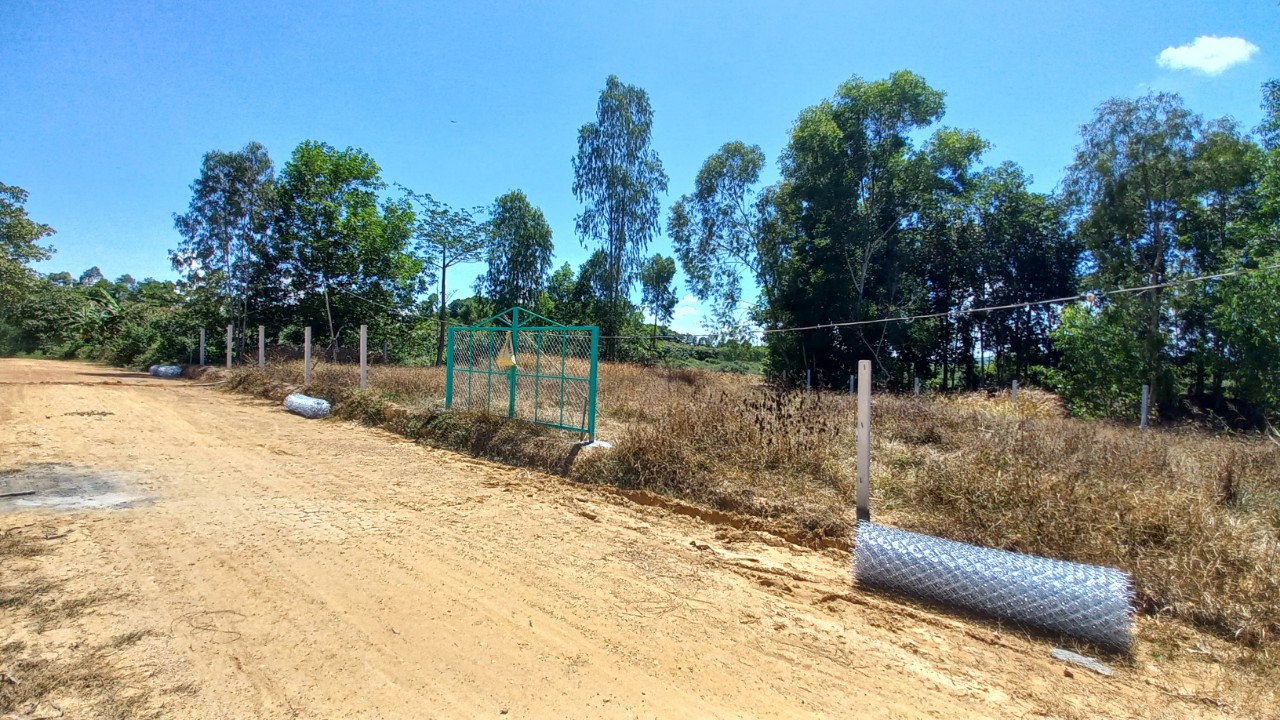 Đất Vườn Nghỉ Dưỡng View Hồ Trị An Xã Thanh Sơn Định Quán Đồng Nai 15979449