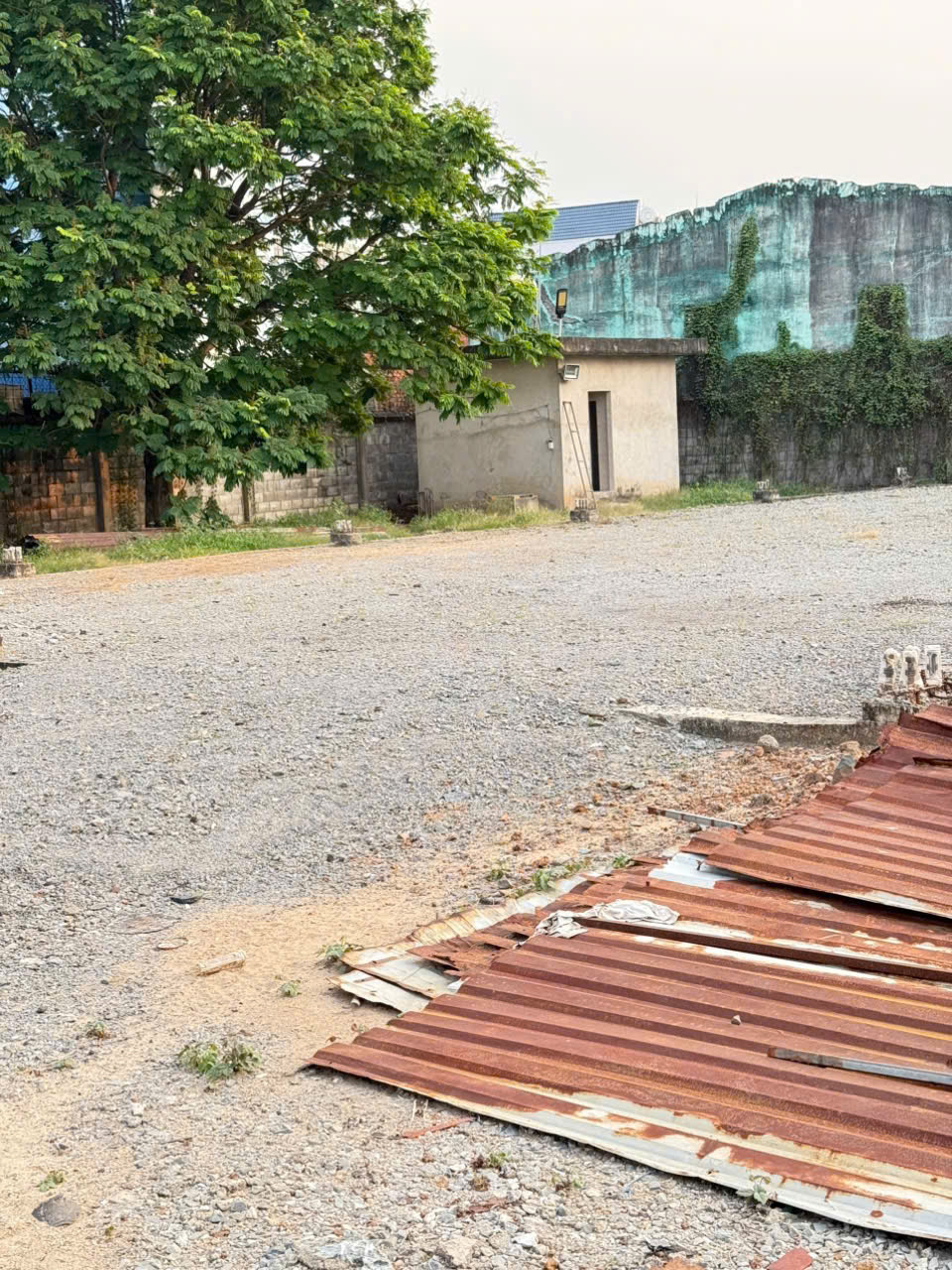 CẦN BÁN GẤP LÔ ĐẤT MẶT TIỀN VÕ THỊ HỒI – XUÂN THỚI ĐÔNG, HÓC MÔN 15979450