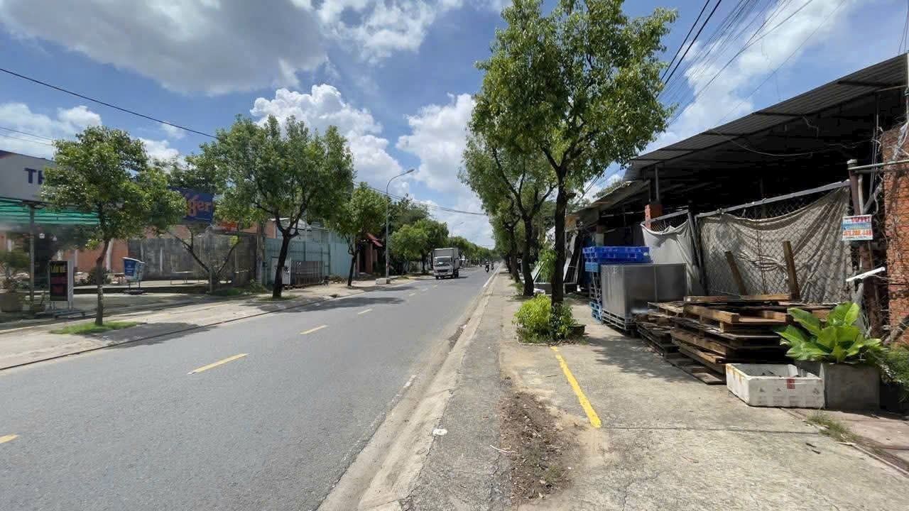 ĐẤT ĐẸP (14X56) MẶT TIỀN THANH NIÊN – 800m² – GIÁ CHỈ 9,5 TỶ (GẦN CẦU LỚN) 15979451