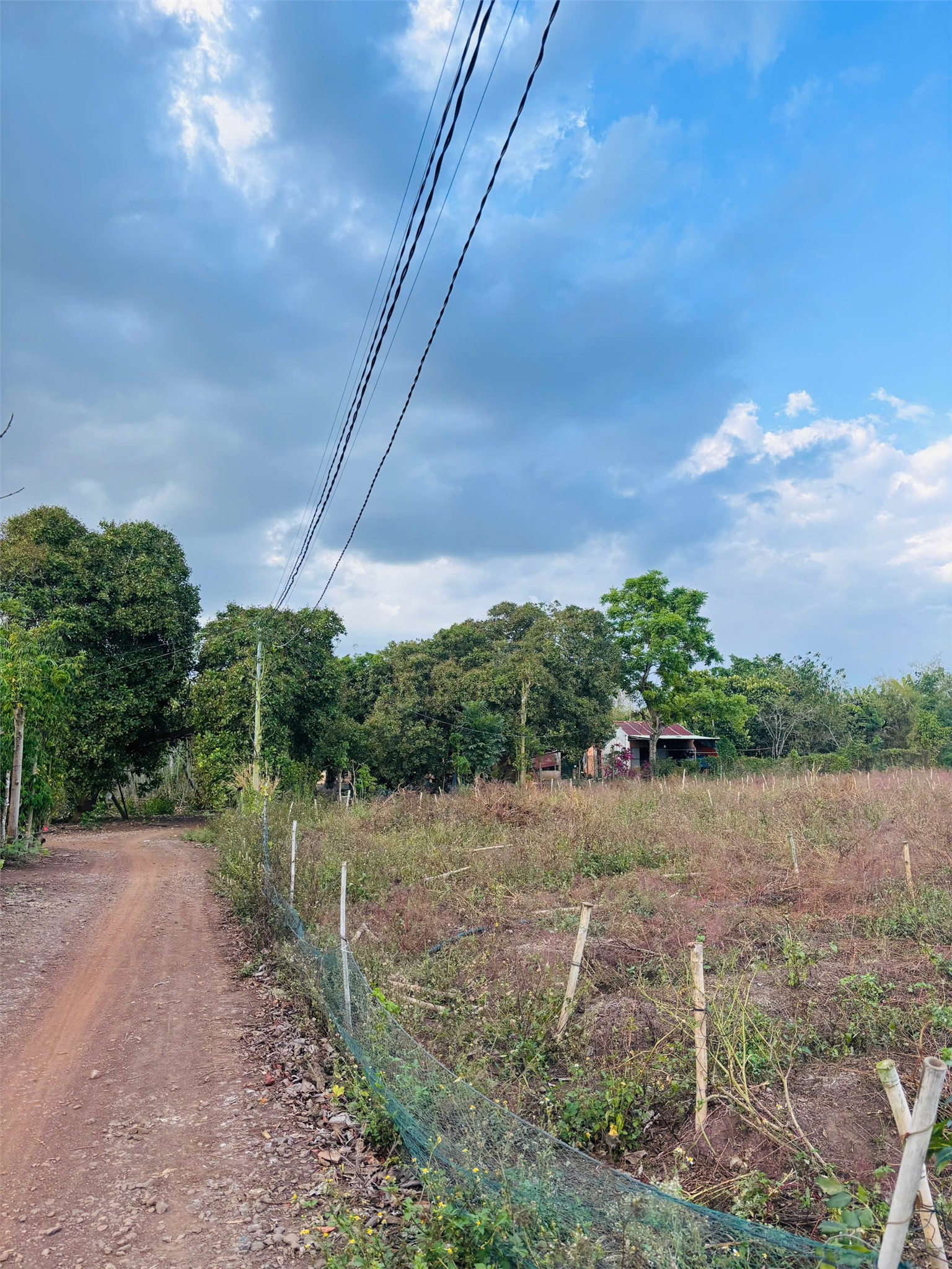 ĐẤT ĐẸP – GIÁ TỐT CHÍNH CHỦ BÁN GẤP Tại Xã Lang Minh, Xuân Lộc, Đồng Nai 15979467