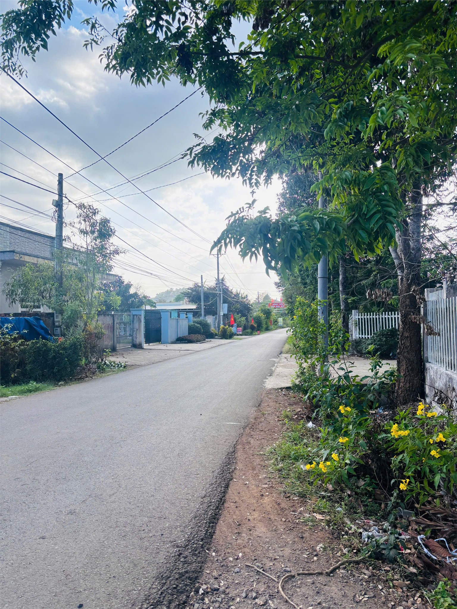 ĐẤT ĐẸP – GIÁ TỐT CHÍNH CHỦ BÁN GẤP Tại Xã Lang Minh, Xuân Lộc, Đồng Nai 15979467