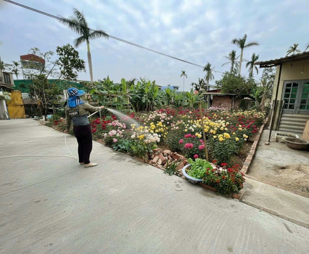 CẦN BÁN ĐẤT NGÕ 172 CÁT LINH – TRÀNG CÁT, HẢI AN  Ô TÔ VÀO TẬN NƠI  PHÁP LÝ RÕ RÀNG 15979486