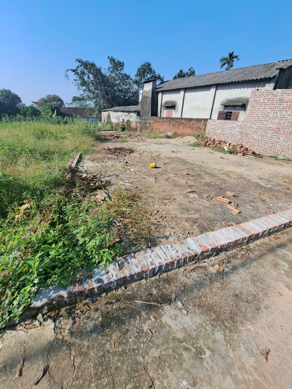 Cần tiền bán lô đất 116m² CLN tại Cẩm Lĩnh, Ba Vì, Hà Nội. 15979506