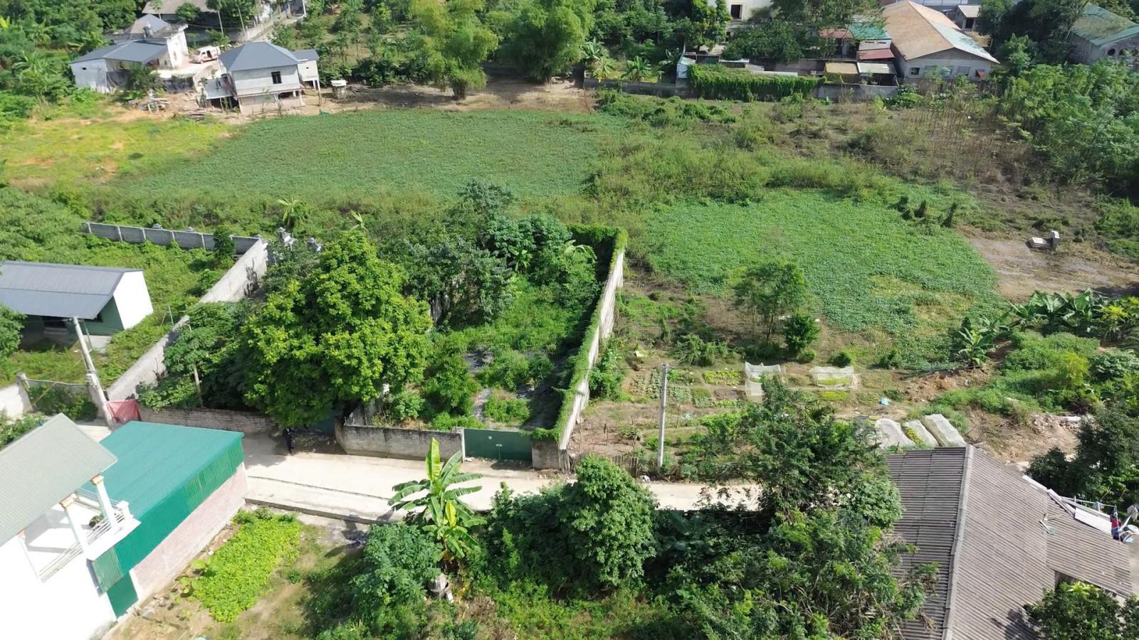 BÁN ĐẤT HÒA THẠCH, QUỐC OAI 330 M2 Full THỔ CƯ, ĐỪNG Ô TÔ TẢI TRÁNH, GIÁ 23 TR/M2 15979519