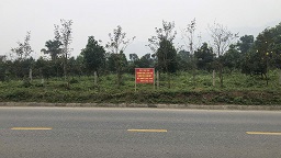 CHO THUÊ 3 LÔ ĐẤT MẶT ĐƯỜNG LIÊN VÙNG – PHÚ THỌ  VỊ TRÍ ĐẸP GẦN KCN 15979536