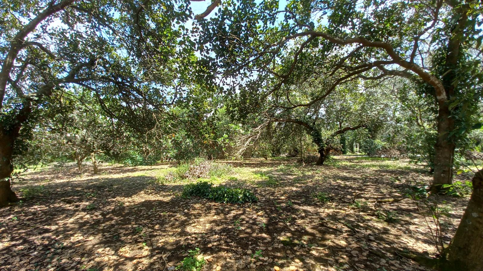 Cần Bán 1 Sào Đất Vườn xã Ngọc Định, Định Quán, Đồng Nai 15979539