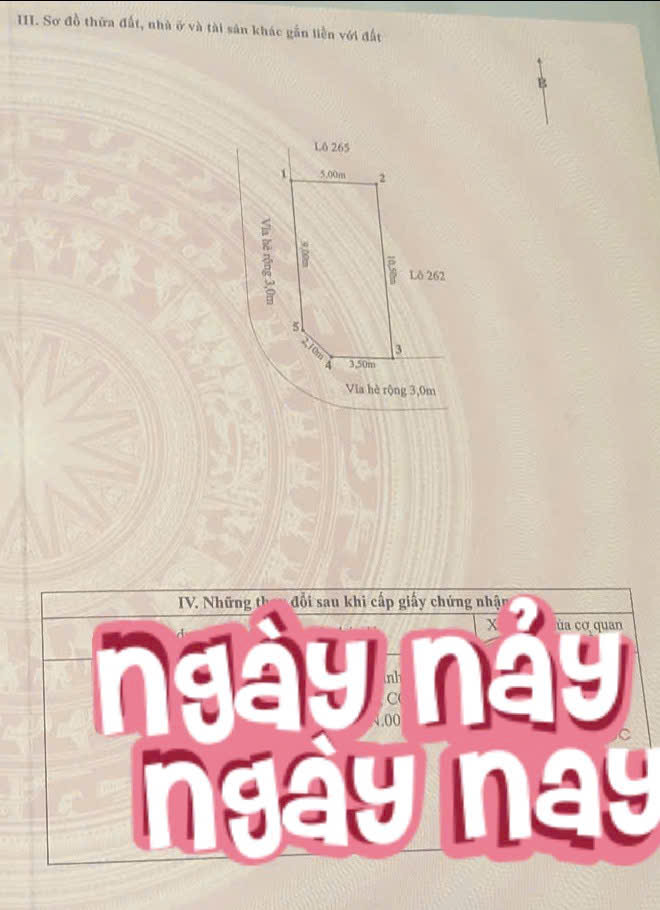 LÔ GÓC ngã 4 siêu đẹp - TĐC Vĩnh Niệm - 51m - Ngang 5m - Đường 12m 15979560