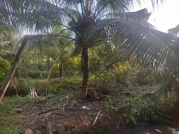 CHÍNH CHỦ CẦN BÁN LÔ ĐẤT CÓ VỊ TRÍ ĐẸP TẠI PHƯỜNG KHÁNH HẬU - TP. TÂN AN - LONG AN. 15979592