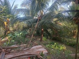CHÍNH CHỦ CẦN BÁN LÔ ĐẤT CÓ VỊ TRÍ ĐẸP TẠI PHƯỜNG KHÁNH HẬU - TP. TÂN AN - LONG AN. 15979592