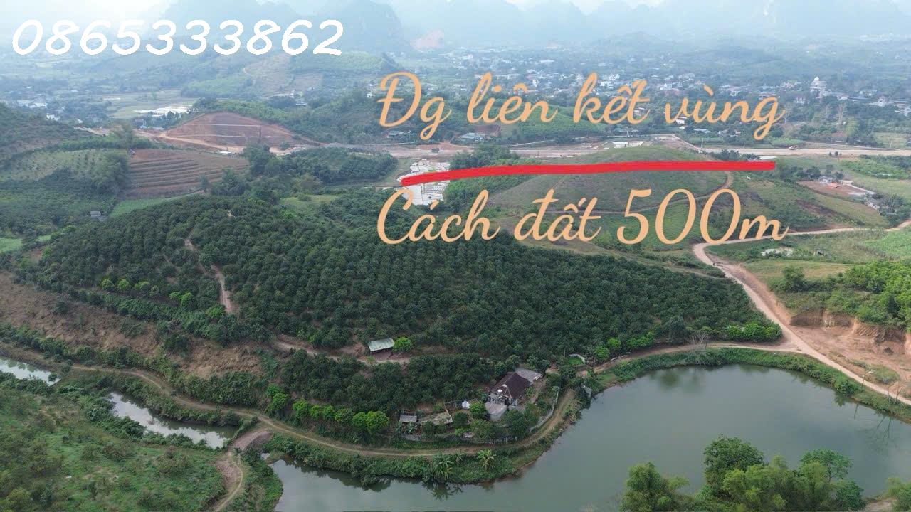 BÁN LÔ ĐẤT ĐẸP MƯỜNG ĐỘNG – KIM BÔI  VIEW CÁNH ĐỒNG THOÁNG SẴN NHÀ c4 15979646