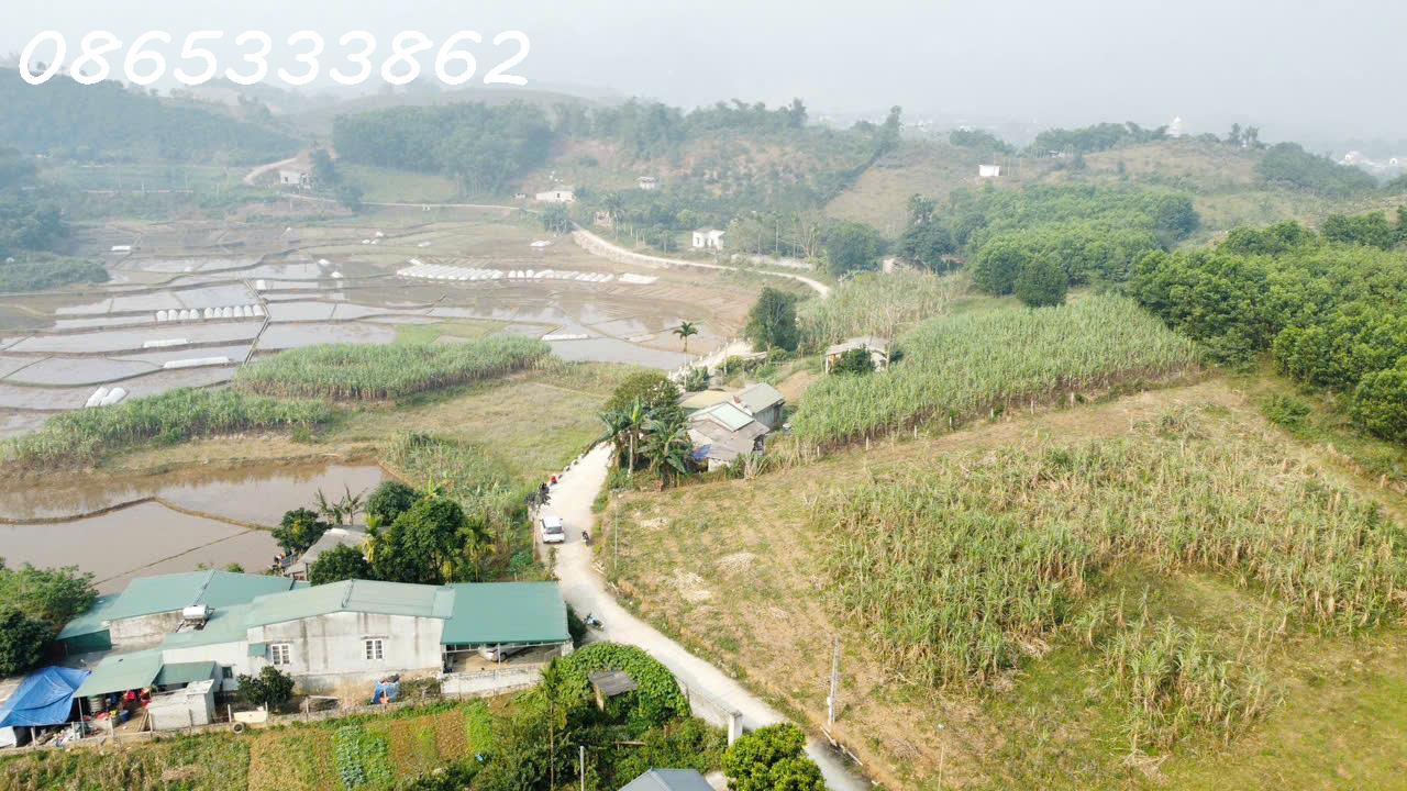 BÁN LÔ ĐẤT ĐẸP MƯỜNG ĐỘNG – KIM BÔI  VIEW CÁNH ĐỒNG THOÁNG SẴN NHÀ c4 15979646