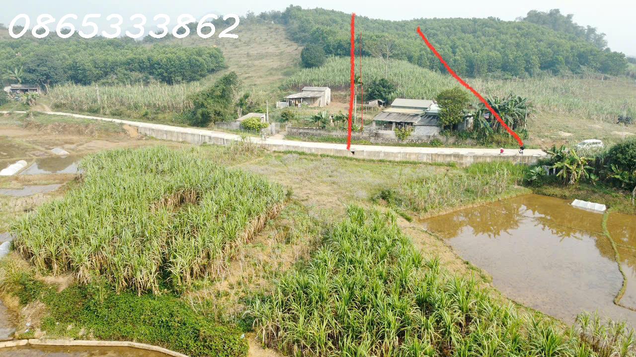 BÁN LÔ ĐẤT ĐẸP MƯỜNG ĐỘNG – KIM BÔI  VIEW CÁNH ĐỒNG THOÁNG SẴN NHÀ c4 15979646