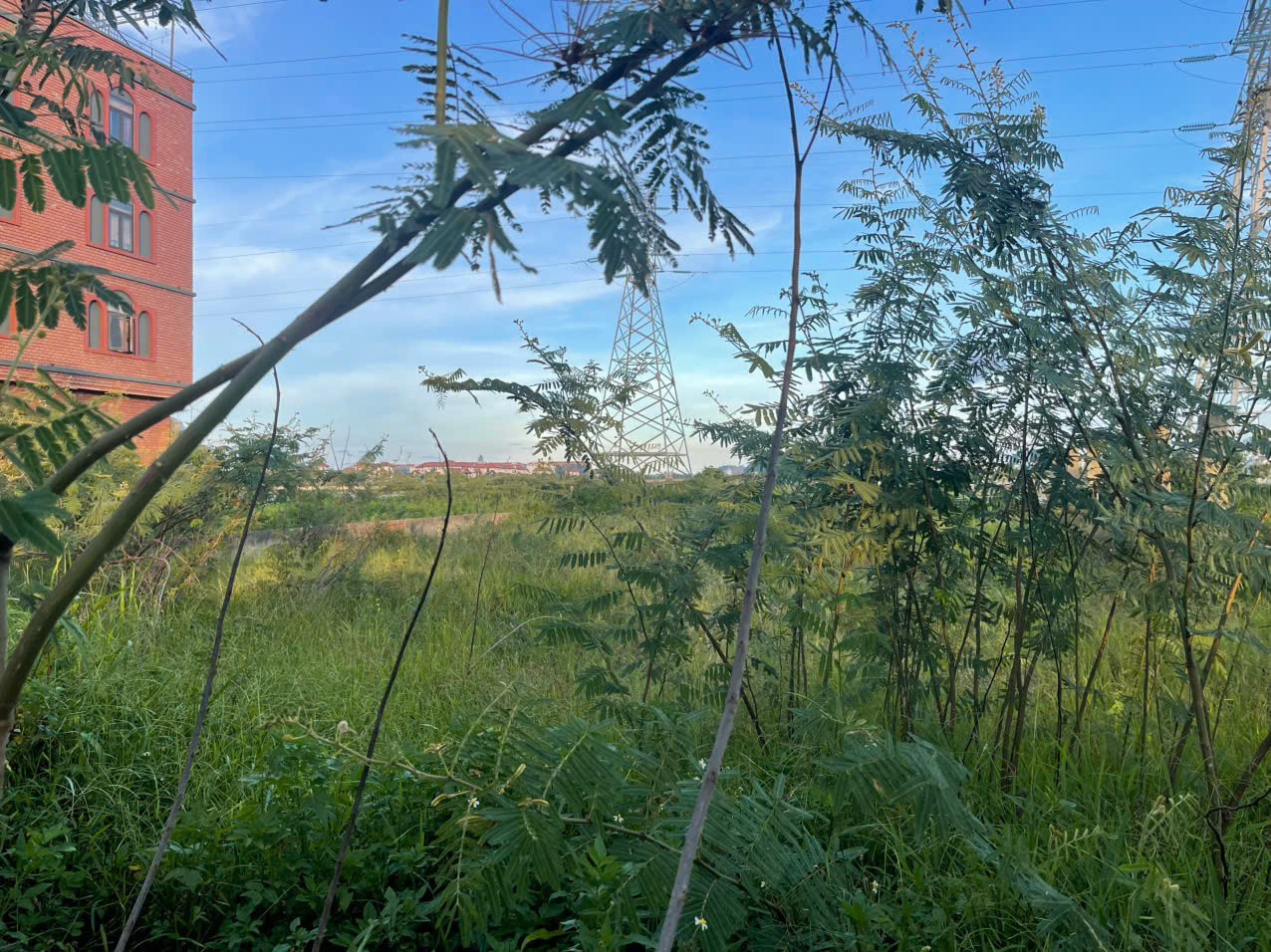 Bán đất biệt thự ven sông Nguyễn Đình Thi Hòa Xuân 525m2 gần cầu Trung Lương giá 29.8 tỷ 15979682