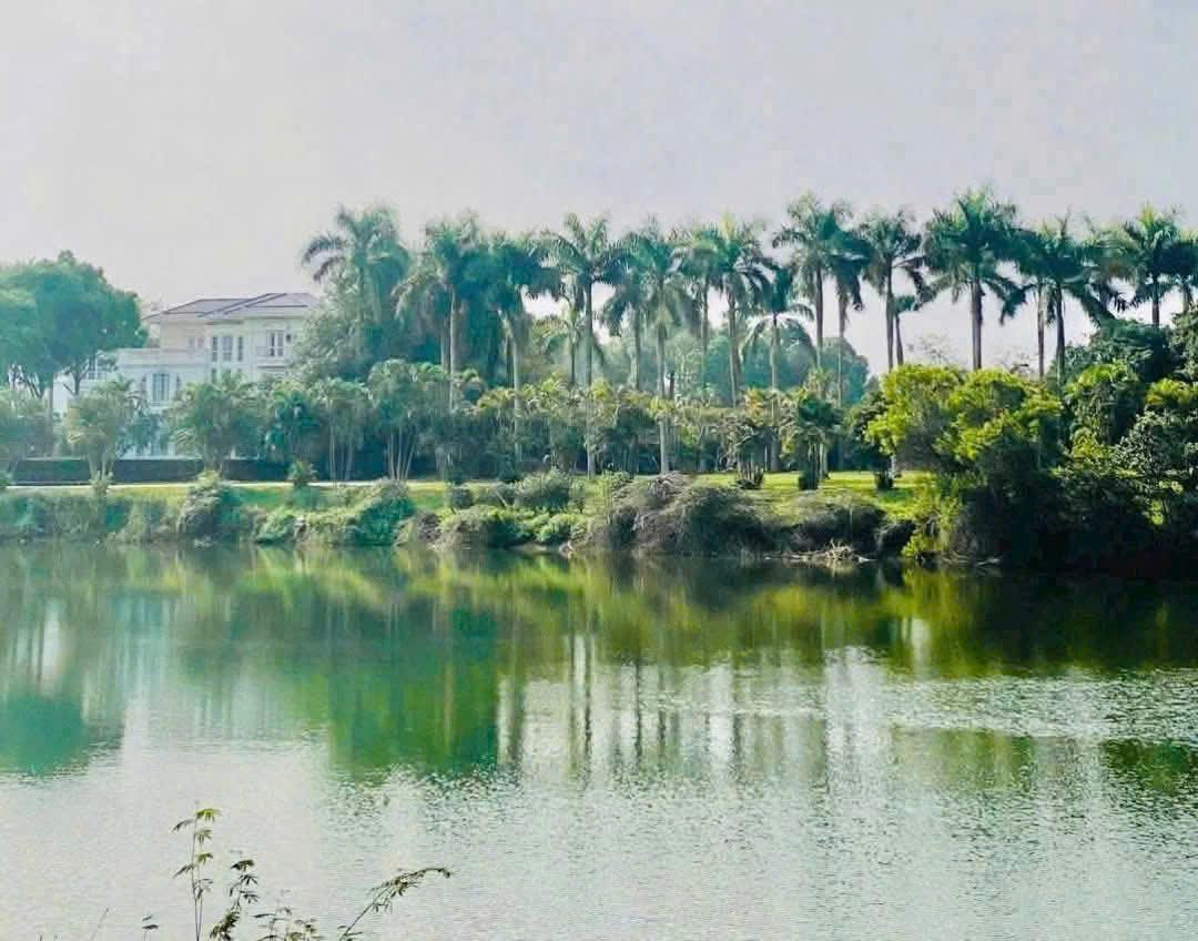 Thua lỗ cần ra hàng lô đất 119m2 vừa ở vừa kinh doanh vị trí đắc địa. 15979718