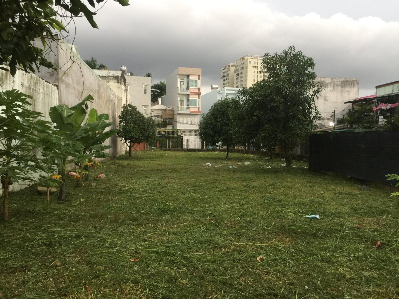 Bán Lô Đất Lớn 796m 2 Mặt Tiền Đường 22 Linh Đông Phường Linh Đông, Thành Phố Thủ Đức 15979722