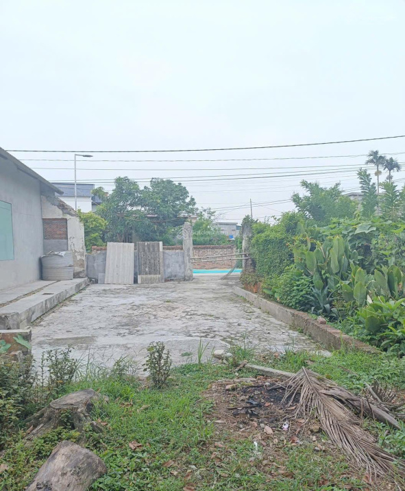 BÁN ĐẤT THÔN ĐÔNG HỒNG XÃ QUỲNH AN (TRƯỚC ĐÂY THUỘC QUỲNH BẢO, QUỲNH PHỤ, THÁI BÌNH) 15979762