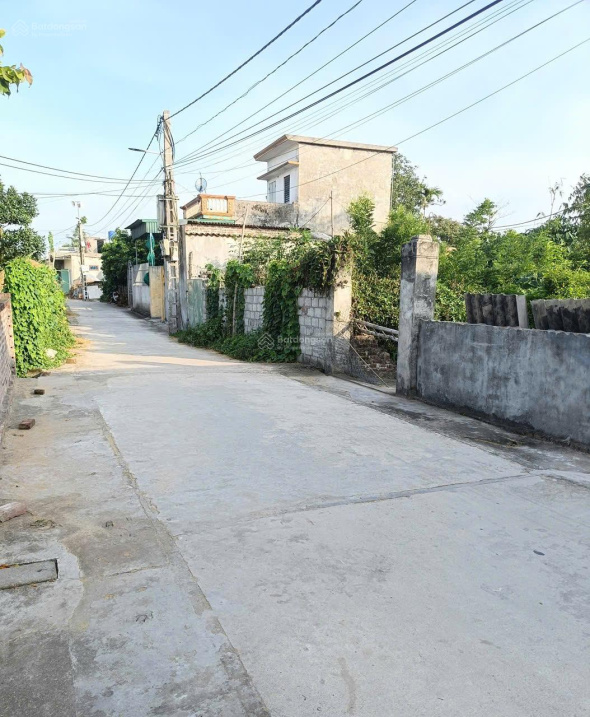 BÁN ĐẤT THÔN ĐÔNG HỒNG XÃ QUỲNH AN (TRƯỚC ĐÂY THUỘC QUỲNH BẢO, QUỲNH PHỤ, THÁI BÌNH) 15979762