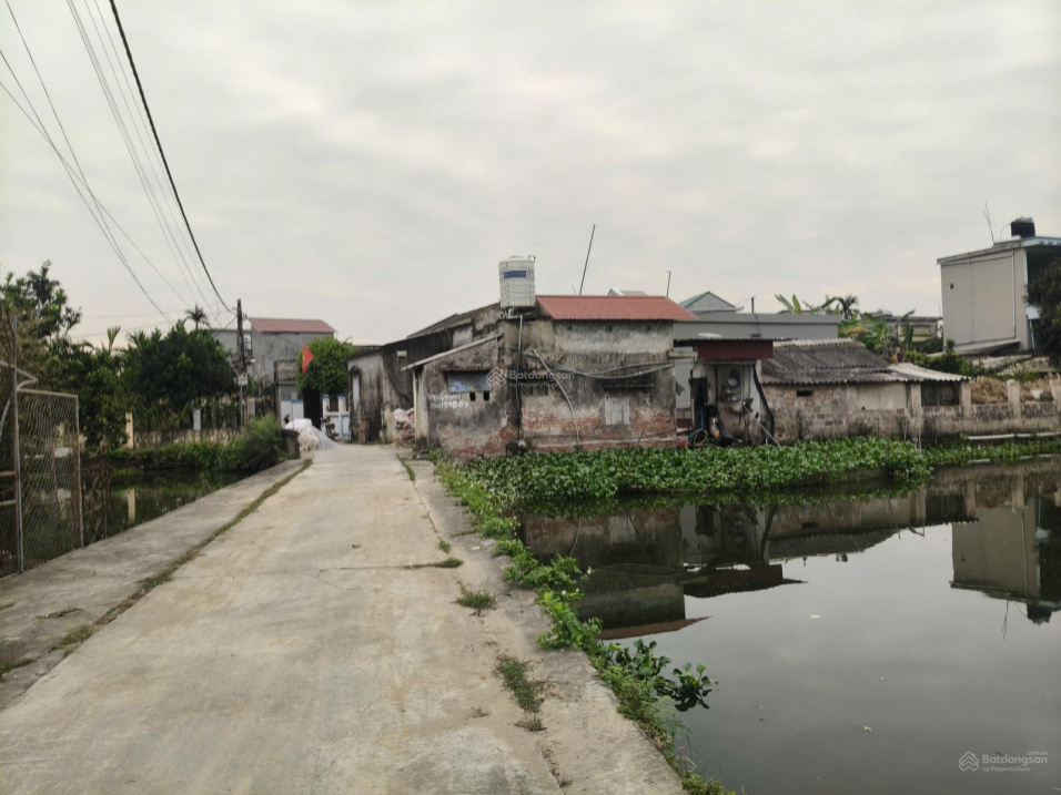 BÁN ĐẤT SƠN ĐỒNG QUỲNH GIAO (NAY LÀ XÃ MINH THỌ, HƯNG YÊN) 15979766